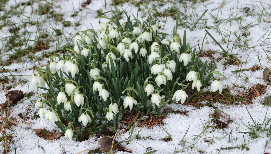 februar-wetterstation