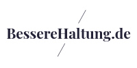 haltungskorrektur